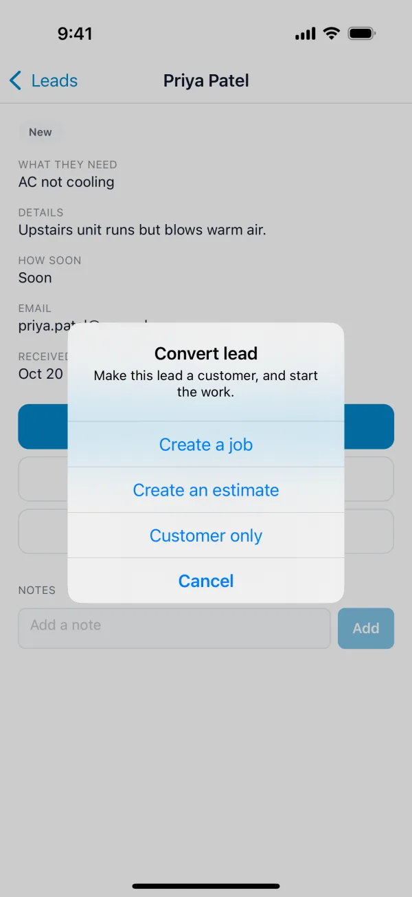 The Convert lead choices