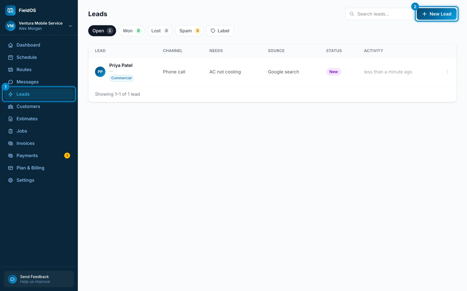 The Leads page, with Leads in the sidebar and the New Lead button marked